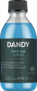 Dandy Hair Ice Lotion - Menthol-Lotion - 250 ml