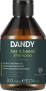 Dandy Hair & Beard Shampoo - Haar- & Bart-Waschmittel mit Argan-, Baobab- und Leinöl - 300 ml